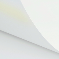 Papier Curious Metallics Digital Ice Gold 300g/m² 483mm x 330mm Paquet de 100 feuilles