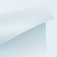 Papier Curious Metallics Digital Ice Silver 300g/m² 530mm x 750mm Paquet de 100 feuilles