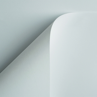 Papier Curious Skin Extra White 135g/m² 700 mm x 1000 mm Paquet de 200 feuilles