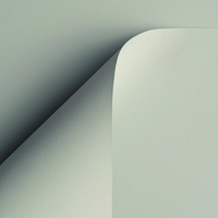 Papier Curious Skin Grey 270g/m² 700 mm x 1000 mm Paquet de 100 feuilles