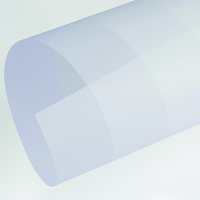 Papier Curious Translucents Bright White 100g/m² 720mm x 1020mm Paquet de 250 feuilles