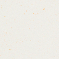 Papier Keaykolour Recycled Ps-Poussière De Soleil 170 g/m² 700 mm x 1000 mm Paquet de 125 feuilles