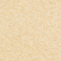 Papier Keaykolour Original i-Tone® Parchment Chamois 250g/m² 460mmx320mm Paquet de 100 feuilles