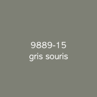 Macal 9800 Pro 988915 Gris Souris