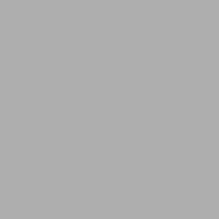 Oracal 970 RA 730-simple grey gloss