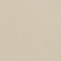 Papier couleur Pop'Set Virgin Pulp Tourterelle 170 g/m² 700 mm x 1000 mm