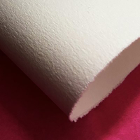 Velin d'Arches, blanc, 270g/m2 100% coton 900mm x 630mm, BL Paquet de 100 feuilles
