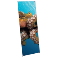 X-Banner Budget Coala System