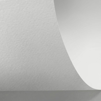 Papier Rives Shetland Digital Bright White 250g/m² 483 mm x 330 mm Paquet de 250 feuilles