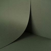 Papier Keaykolour Sequoia 300g/m² 700mm x 1000mm Paquet de 100 feuilles