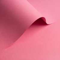 Papier Olin Colours Blush 90g/m² 450mm x 640mm