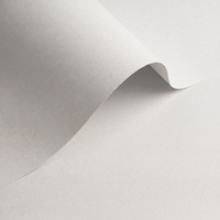 Papier Olin Colours Brilliant White 320g/m² 700mm x 1000mm