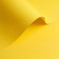 Papier Olin Colours Citrus Yellow 240g/m² 700mm x 1000mm