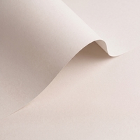 Papier Olin Colours Cloud 240g/m² 700mm x 1000mm