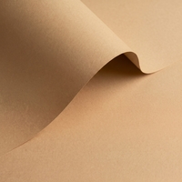 Papier Olin Colours Fawn 240g/m² 700mm x 1000mm