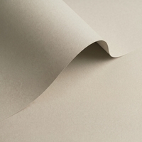 Papier Olin Colours Grey 240g/m² 700mm x 1000mm