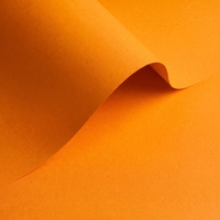 Papier Olin Colours Old Gold 170g/m² 700mm x 1000mm