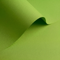 Papier Olin Colours Pistachio 240g/m² 700mm x 1000mm