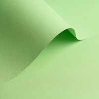 Papier Olin Colours Spring Green 90g/m² 700mm x 1000mm