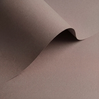 Papier Olin Colours Urban Grey 240g/m² 700mm x 1000mm