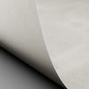 Papier Conqueror Laid Oyster 220g/m² 720mm x 1020mm Paquet de 100 feuilles