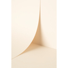 Papier Keaykolour Digital Snow White 300g/m² 483mm x 330mm Paquet de 100 feuilles