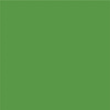 Avery 800 brillant 813 vert gazon adhésif permanent 1230 mm x 50 m(813/1.23)