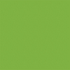 Avery 900 brillant 956 vert gazon adhésif permanent 1230 mm x 25 m(956/1.23)