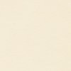 Papier Conqueror Bamboo Crema 350 g/m² 700 mm x 1000 mm Paquet de 100 feuilles