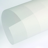Papier Curious Translucents Clear 320g/m² 720mm x 1020mm Paquet de 100 feuilles