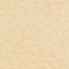 Papier Keaykolour Original i-Tone® Parchment Chamois 250g/m² 460mmx320mm Paquet de 100 feuilles
