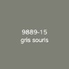 Macal 9800 Pro 988915 Gris Souris