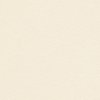 Papier de création Rives Tradition Ivoire Naturel 100 g/m² 700 mm x 1000 mm Paquet de 250 feuilles