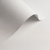 Papier Olin Colours Brilliant White 170g/m² 450mm x 640mm
