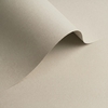 Papier Olin Colours Grey 240g/m² 700mm x 1000mm