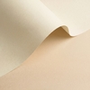 Papier Olin Colours Ivory 170g/m² 700mm x 1000mm