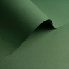 Papier Olin Colours Jungle Green 120g/m² 700mm x 1000mm